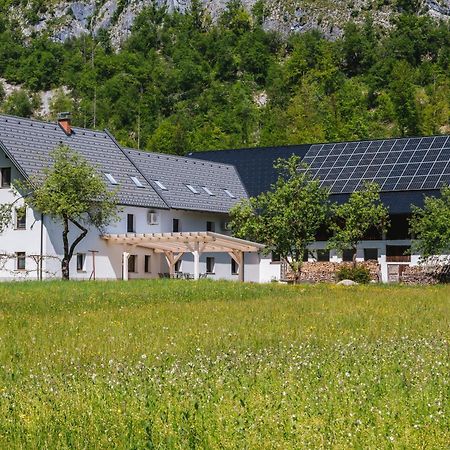Domacija Log V Bohinju Villa Bohinjska Bistrica ภายนอก รูปภาพ