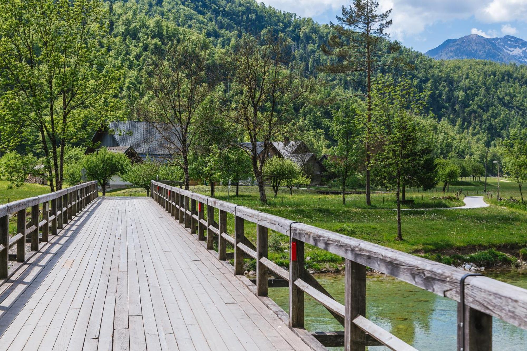 Domacija Log V Bohinju Villa Bohinjska Bistrica ภายนอก รูปภาพ